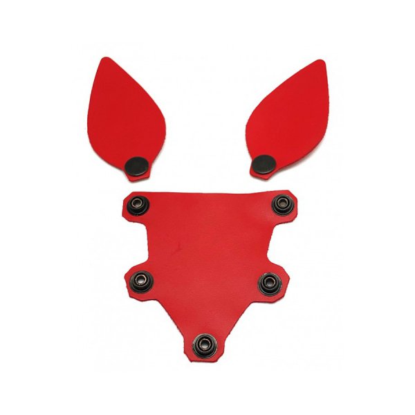 puppy-set-ears-and-tongue-in-red-leather