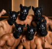 Black Latex BDSM Pig Mask 1613ME Black Latex BDSM Pig Mask
