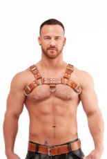 Chest Harness Saddle Leather Brown 601020MB Chest Harness Saddle Leather Brown