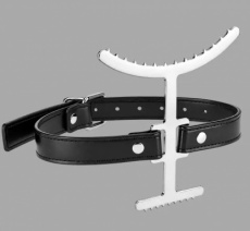 Collar with Heretic’s Fork 10601ME Collar with Heretic’s Fork