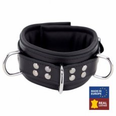 Padded leather collar with D-rings