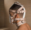 Dr. Sado® Head Harness with Muzzle  1890ME Dr. Sado® Head Harness with Muzzle - Leather Head Harness