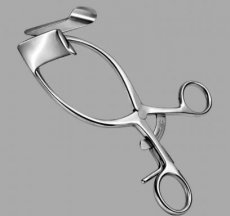 Extreme Ass Spreader