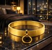 Golden BDSM Slave Collar with O-Ring 3072ME Golden BDSM Slave Collar with O-Ring