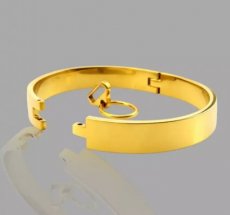 Golden BDSM Slave Collar with O-Ring