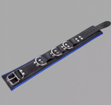 Leather Bondage Collar - Black & Blue  1362ME Leather Bondage Collar - Black & Blue