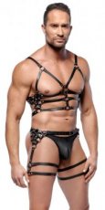 Leather Harness Set 201027511710R Leather Harness Set