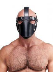 Mister B Leather Face Muzzle Harness 642120MB Mister B Leather Face Muzzle Harness
