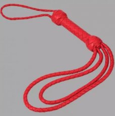 The Disciplinarian - Red Passion