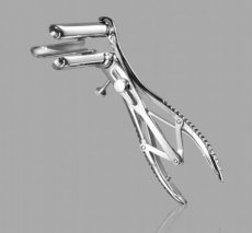 Three-Way Anal Spreader